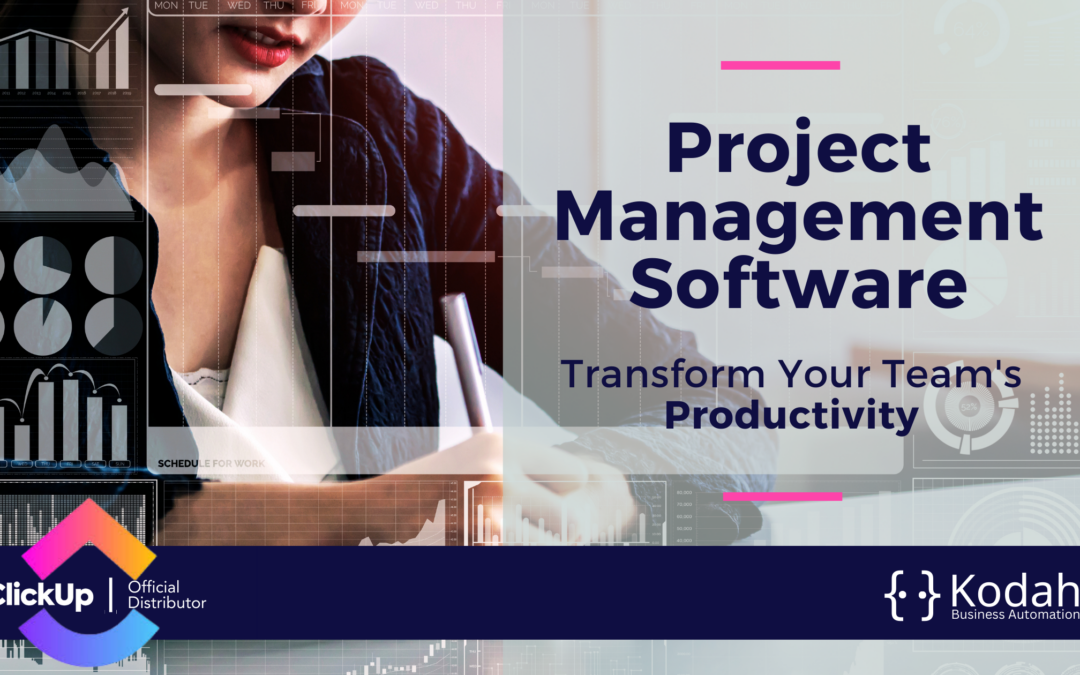 How Project Management Software Can Transform Your Team’s Productivity